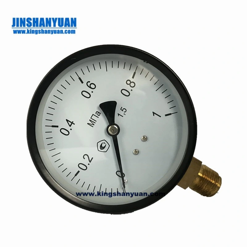 100mm Back Connection Bouden Tube Liquid Filled Pressure Gauge