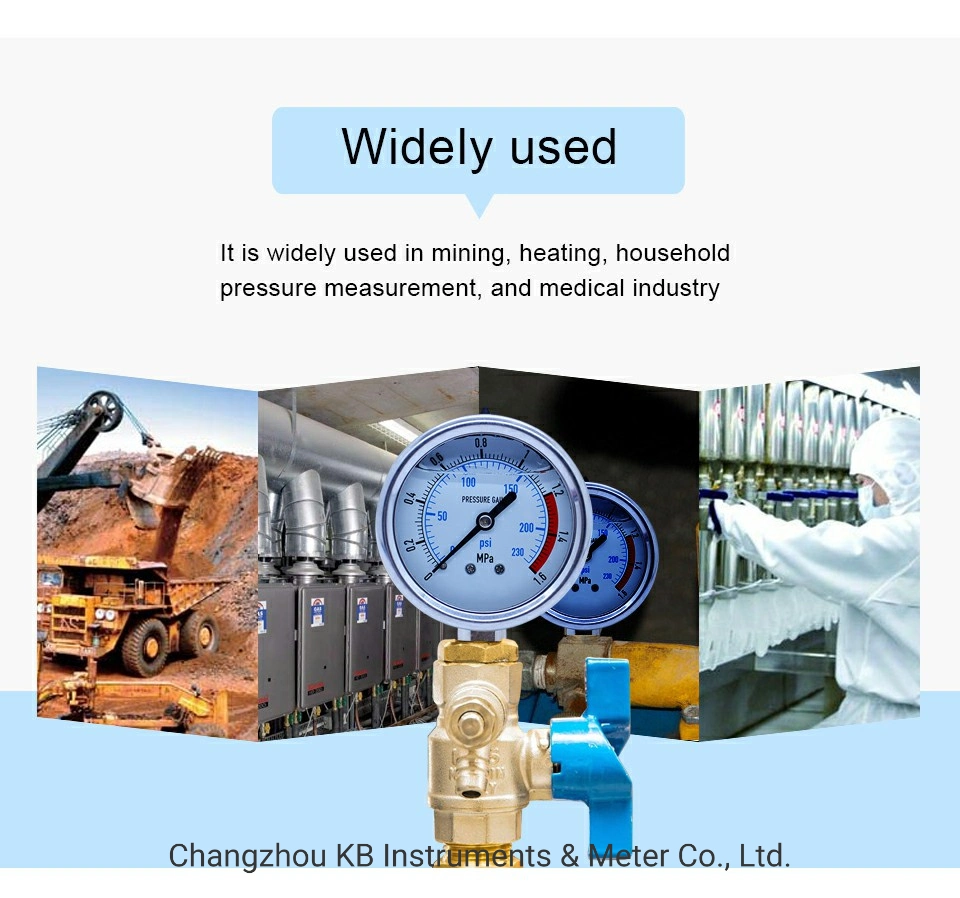 1.6% All Stainless Steel Liquid Filled DIN Pressure Testing Gauges