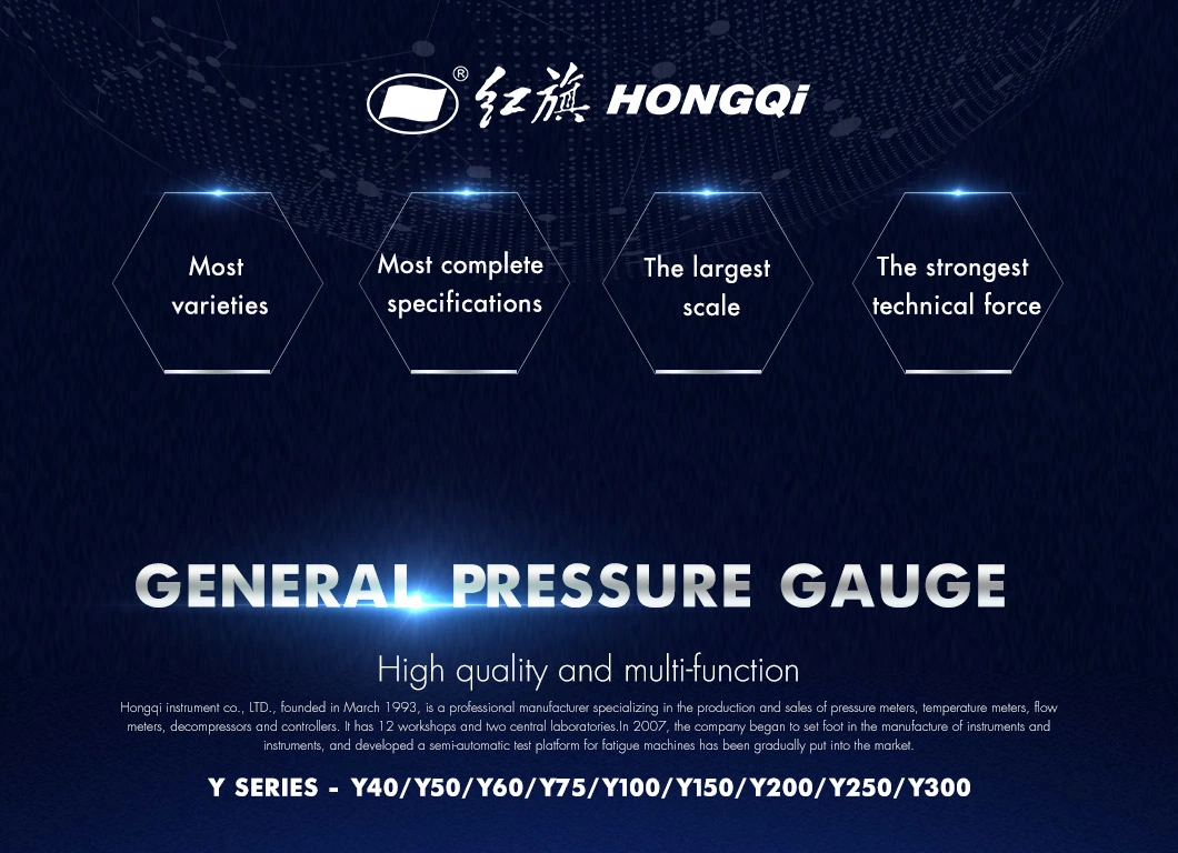 Hongqi 4" Standard Pressure Gauge M20*1.5 NPT1/2 G1/2